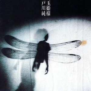 狂野少女免费完整版电影在线播放
